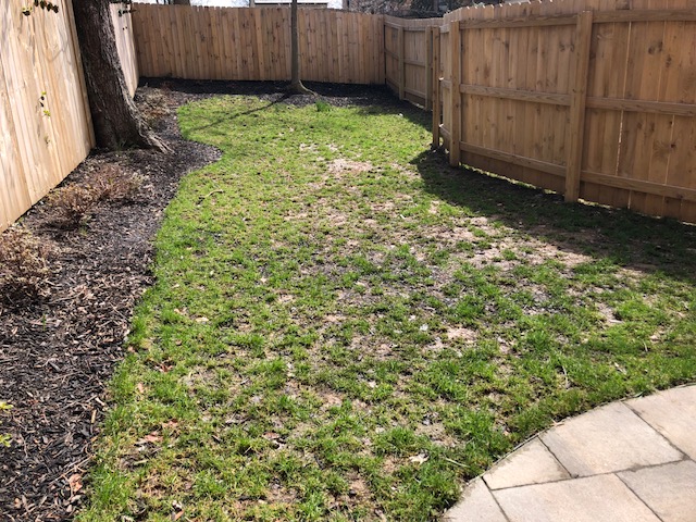 Patchy backyard lawn before the Motz Turf Farms installation