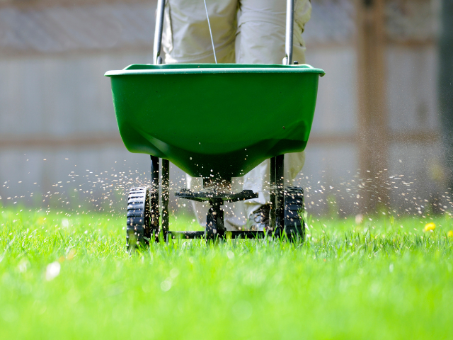 Seeding project by Motz Turf Farms